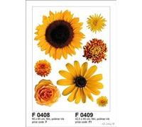 AG Design f 0408 Mur autkleber Stickers Fleurs G