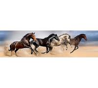AG Design WB 8242, Auto-adhesif, Frise autocollante, Sticker Mural, PVC Film, Multicolore, 5 x 0,14 m