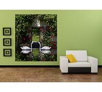 AG Design fTL 1636 Mural intissé Photo Murale Cygnus-Violet