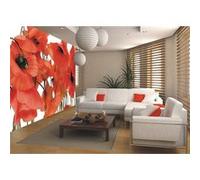 AG Design - Papiers Peint Photo - Coquelicots Sauvages - Tapisserie Photo - Poster Photo géant - 360x254 cm - 4 lés - FTS 0479 G