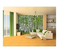 AG Design - Papiers Peints intissé - Berry-Bouleau - Tapisserie Photo - Poster Photo géant - 360x270 cm - 4 lés - FTNS 2448 G