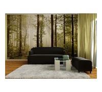 AG Design - Papiers Peints intissé - Forêt du Matin - Tapisserie Photo - Poster Photo géant - 360x270 cm - 4 lés - FTNS 2447 G