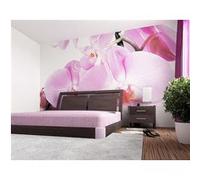 AG Design - Papiers Peints intissé - Grande orchidée Violette - Tapisserie Photo - Poster Photo géant - 360x270 cm - 4 lés - FTNS 2459 G