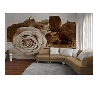 AG Design - Papiers Peints intissé - Rose Noir et Blanc- Tapisserie Photo - Poster Photo géant - 360x270 cm - 4 lés - FTNS 2458 G