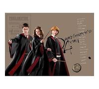 AG Design Poster intissé - HP et ses amis - Hermione et Ron - 155 x 110 cm