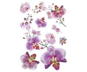 AG Design SM 3440 Mural Adhesive Disney, Autocollant, Sticker décoratif, Colorful, 42,5 x 65 cm