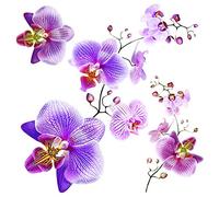 AG Design - Sticker Murale Adhésive - Autocollant - Orchidées - Sticker Décoratif - 30 x 30 cm - 1 Fragment - SS 3859