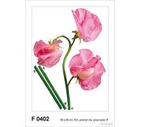 AG f 0402 autkleber Mural Design Autocollants en Forme de Fleurs