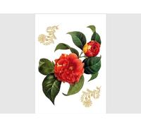 AG f 0457 autkleber Mural Design Autocollants en Forme de Fleurs
