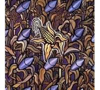 Against The Grain by BAD RELIGION [Audio CD] NEUF