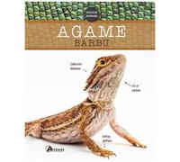 Agame Barbu