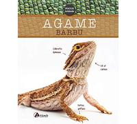 Agame barbu