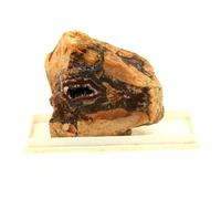 Agate, Quartz, Baryte. 445.9 Ct. Oberthal, St Wendel, Allemagne.