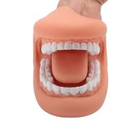 Agatige Marionnette Buccale À 28 Dents Avec Langue, Modèle Dentaire | Démonstration De La Parole En Silicone Modèle De Dents Orales Outil Oral D'articulation SLP Pour L'enseignement En À L'École