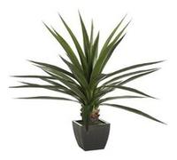 Green Potted Plant Height 130 - Natural Instinct