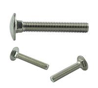 AGBERG Lot de 10 vis à tête carrée M10 x 120 mm - Acier inoxydable VA A2 V2A - Filetage plein inoxydable - DIN 603 - ISO 8677