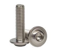 AGBERG - Vis à tête bombée M10 x 40 avec bride et six pans creux - Lot de 100 vis à tête plate en acier inoxydable A2 V2A, résistantes à la rouille - ISO 7380-2