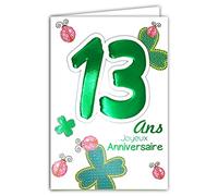 Age Mv 69-2013 Carte Joyeux Anniversaire 13 ans Ados Garçon Fille motif Porte-Bonheur Trèfles à quatre feuilles Coccinelles