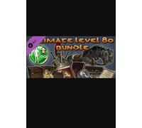 Age of Conan: Unchained - Ultimate Level 80 Bundle (DLC) (PC) Steam Key GLOBAL