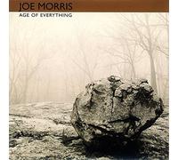 Age Of Everything by Joe Morris Trio (2002-07-02)