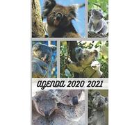 Agenda 1an 2020 2021 / Couverture Koala Mignon Australie / 300 Pages