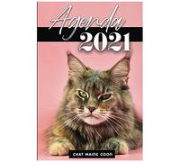 Agenda 2021 : Chat Maine Coon: Année 2021 (De Janvier À Décembre 2021) Chat 2 Jours Par Page Calendrier Format A5 Idée Cadeau Pour Les Passionnés D'animaux, De Chats (Noël, Nouvel An, Fêtes