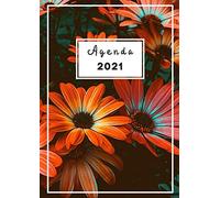 Agenda 2021 Journalier A4: Grand Format ProfessionnelPlanificateur Et Calendrier De Rendez-Vous A4 Avec Heures Du 1er Janvier 2021 Au 31 Décembre 2021 Liste Des Tâches Quotidiennes Agenda, Orga