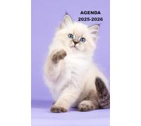AGENDA 2025 2026: Planificateur scolaire CHAT CHATON ( Septembre 2025/juillet 2026) pour Etudiant, lycée, collège, primaire Une page un jour Format A5