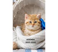 AGENDA 2025 2026: Planificateur scolaire CHAT CHATON ( Septembre 2025/juillet 2026) pour Etudiant, lycée, collège, primaire Une page un jour Format A5