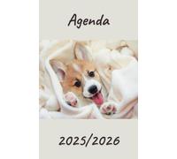 AGENDA 2025/2026: Planificateur scolaire journalier | Emploi du temps | Calendrier | Une page par jour