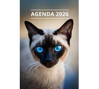 AGENDA 2026 - CHAT: Petit format de poche | 4 langues | Janvier à Décembre 2026 | 52 semaines | 1 semaine sur 2 pages | Format pratique 10x15 cm, 115 pages | Fantaisie, original | Cadeau à offrir
