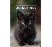 AGENDA 2026 - CHAT: Petit format de poche | 4 langues | Janvier à Décembre 2026 | 52 semaines | 1 semaine sur 2 pages | Format pratique 10x15 cm, 115 pages | Fantaisie, original | Cadeau à offrir