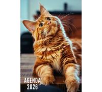 Agenda 2026: Chat - Semainier et Mensuel de Janvier à Décembre 2026 | 12 Mois | Idéal pour Les Étudiants, Professionnels et Particuliers | Calendrier, Liste de Contacts, Notes