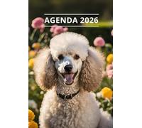 AGENDA 2026 - CHIEN: Petit format de poche | 4 langues | Janvier à Décembre 2026 | 52 semaines | 1 semaine sur 2 pages | Format pratique 10x15 cm, 115 pages | Fantaisie, original | Cadeau à offrir