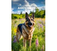 AGENDA 2026 - CHIEN: Petit format de poche | 4 langues | Janvier à Décembre 2026 | 52 semaines | 1 semaine sur 2 pages | Format pratique 10x15 cm, 115 pages | Fantaisie, original | Cadeau à offrir