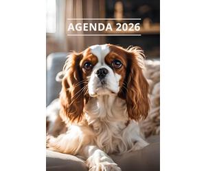 AGENDA 2026 - CHIEN: Petit format de poche | 4 langues | Janvier à Décembre 2026 | 52 semaines | 1 semaine sur 2 pages | Format pratique 10x15 cm, 115 pages | Fantaisie, original | Cadeau à offrir