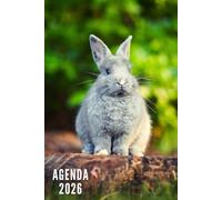 Agenda 2026: Lapin - Semainier et Mensuel de Janvier à Décembre 2026 | Idéal pour Les Étudiants, Professionnels et Particuliers | Calendrier, Liste de Contacts, Notes - Petit Format de Poche