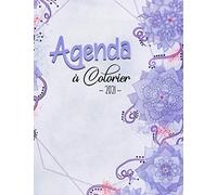 Agenda à Colorier 2021: Un calendrier Mensuel de l'année 2021 avec de beaux illustrations de bouquets de fleurs à Colorier, Semainier simple Illustré ... à Décembre | Art Thérapie adulte et enfant
