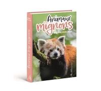 Agenda Animaux trop mignons 2024-2025