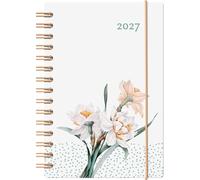 Agenda Baro-EUN 2027 narcisse
