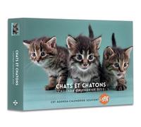 Agenda - Calendrier Chats et chatons 2025 - - Collectif - Hugo Image - Agenda
