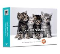 Agenda - Calendrier Chats et chatons 2026 - - Collectif - Hugo Image - Agenda