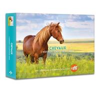 Agenda - Calendrier Chevaux 2025