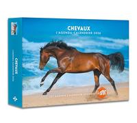 Collectif – Agenda - Calendrier Chevaux 2026