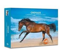 Collectif – Agenda - Calendrier Chevaux 2026
