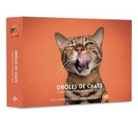 Agenda - Calendrier Drôles de chats 2023