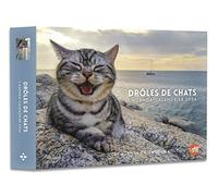 Agenda - Calendrier Drôles de chats 2024