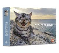 Agenda - Calendrier Drôles de chats 2024 - Collectif - Hugo Image - Coffret - Agenda