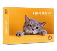Agenda - Calendrier Drôles de chats 2026