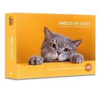 Agenda - Calendrier Drôles de chats 2026